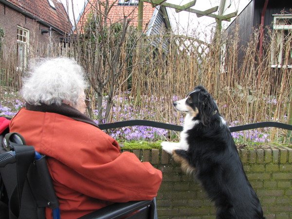 Samen krokusjes kijken