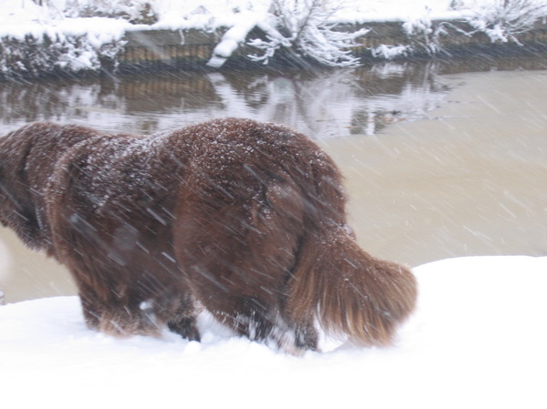 zachte donzige grote billen !!