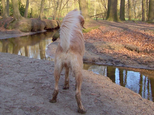 Matchy in de mooie natuur...