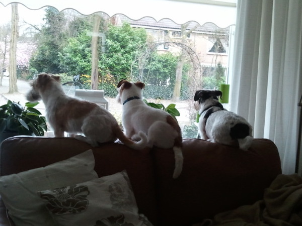 Hoe laat begint de wedstrijd??