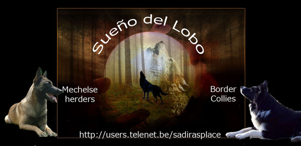 Sueño del Lobo