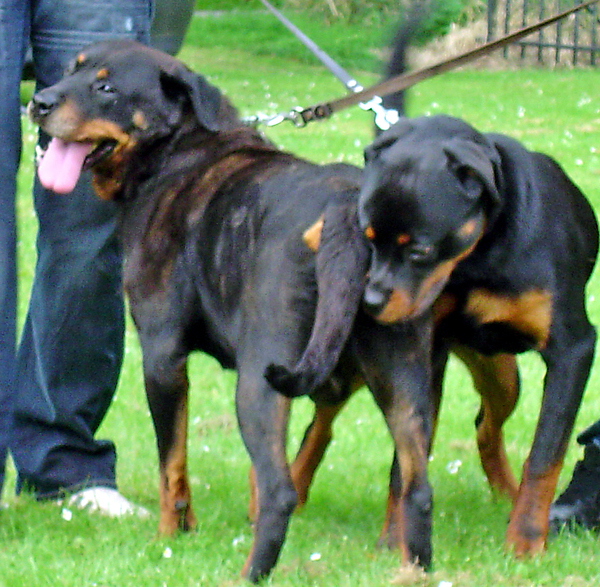 Wat heeft mijn moeder toch een mooie achterkant zeg !!