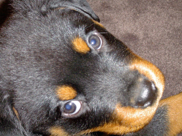 Ik kijk naar een raar ding wat een fototoestel heet