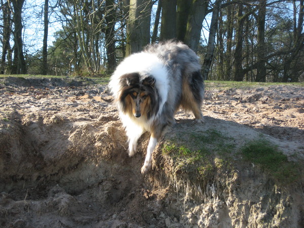 Bo op zoek naar een uitweg