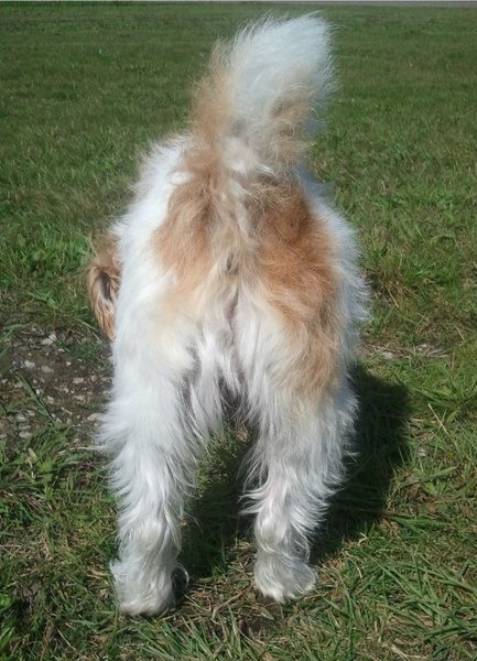 Lekker bontje kontje!