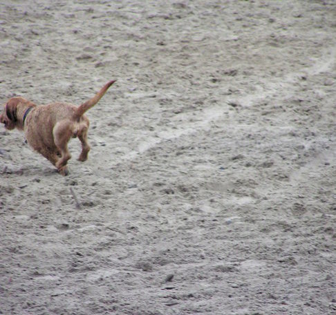 Gooi dat kontje maar in de lucht!