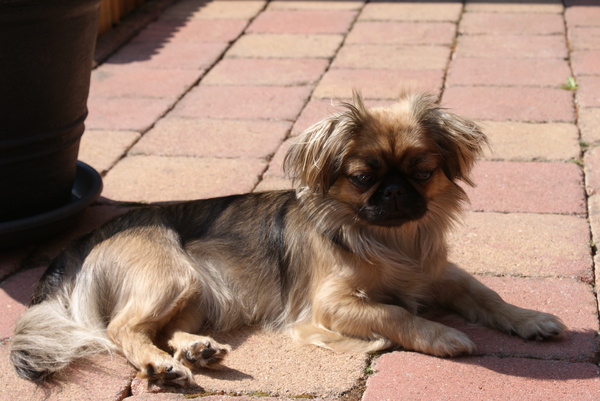 heeeeeeeeeeeerlijk in het zonnetje...