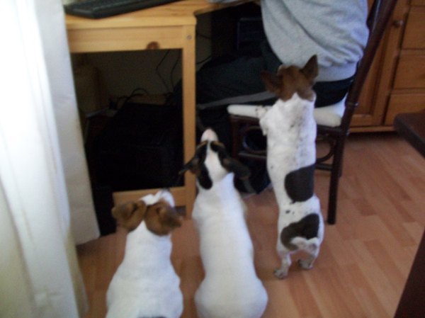 wat heb je daar voor lekkers???