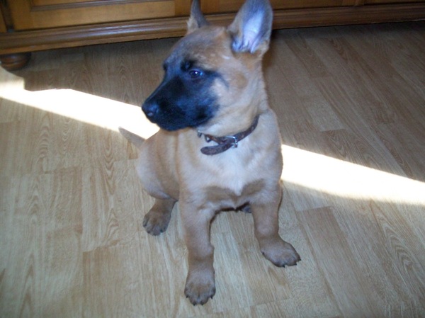 hallo, waar is iedereen