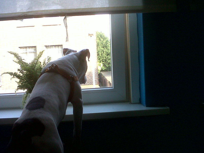 Wat ga ik doen vandaag?