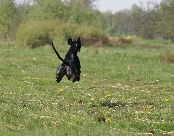 voetjes van de vloer!