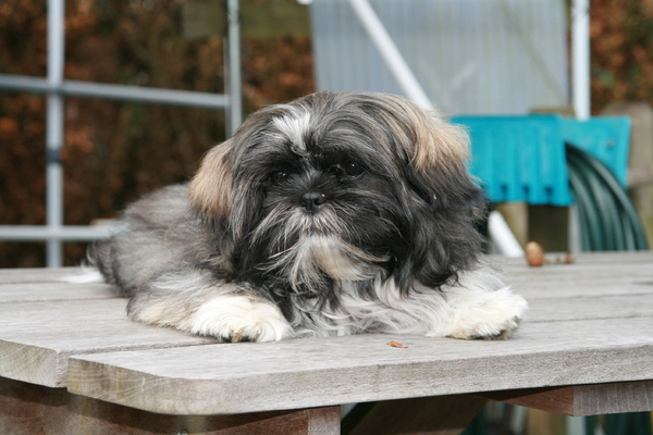 Charley starend naar??