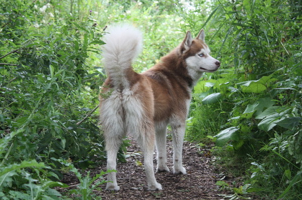 ouderwetse pofbroek gespot!