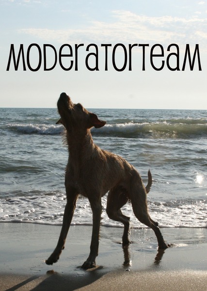  Moderator team