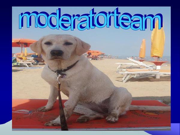 Rocca moderatorteam !!!