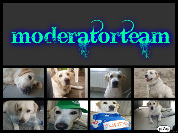 Rocca moderatorteam collage