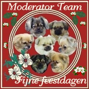 Onze eerste 7 Tibbies