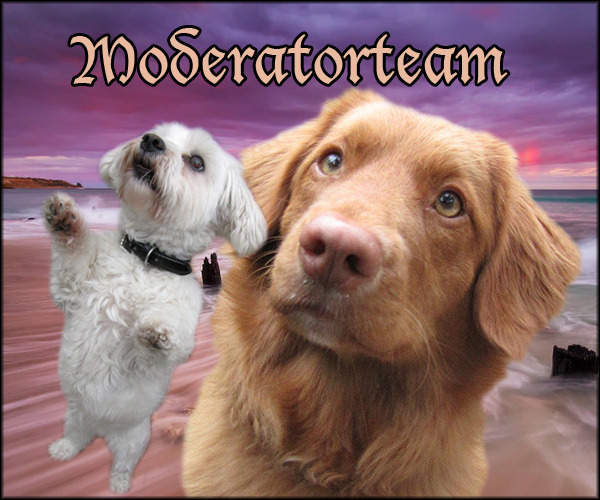 Moderatorteam