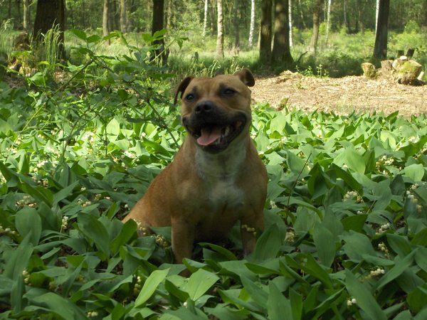Lekekr in het bos van het zonnetje genieten:)
