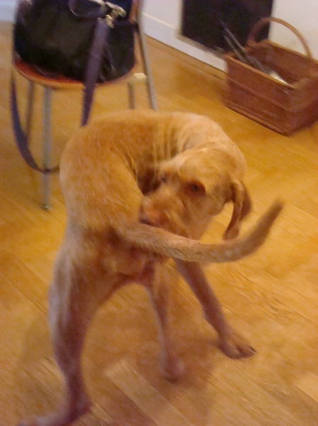 haha zooo lekker kontje!!