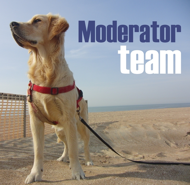 Moderator Team - profielfoto