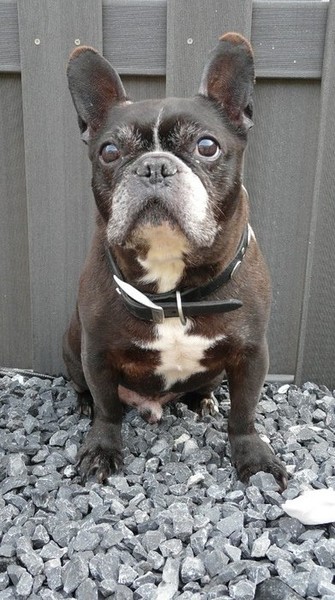 spike van nu en morgen 11 jaar