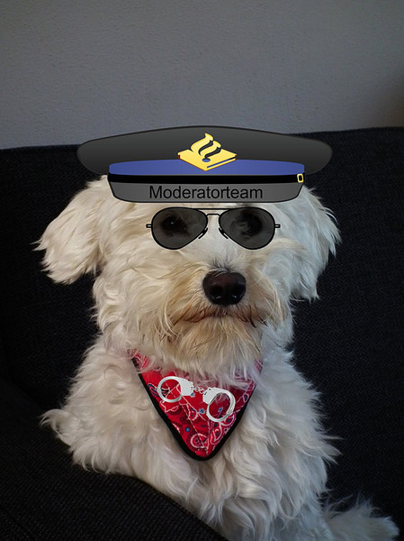 Spyky helpt het moderatorteam