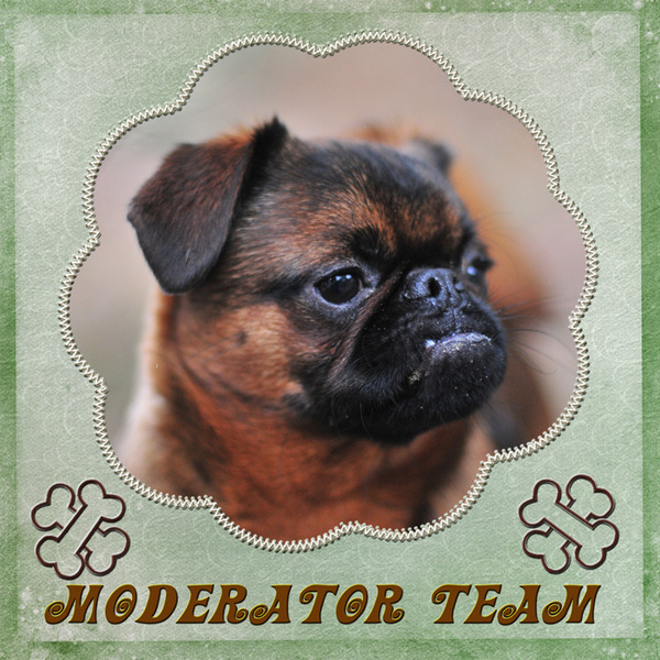 Moderator team template