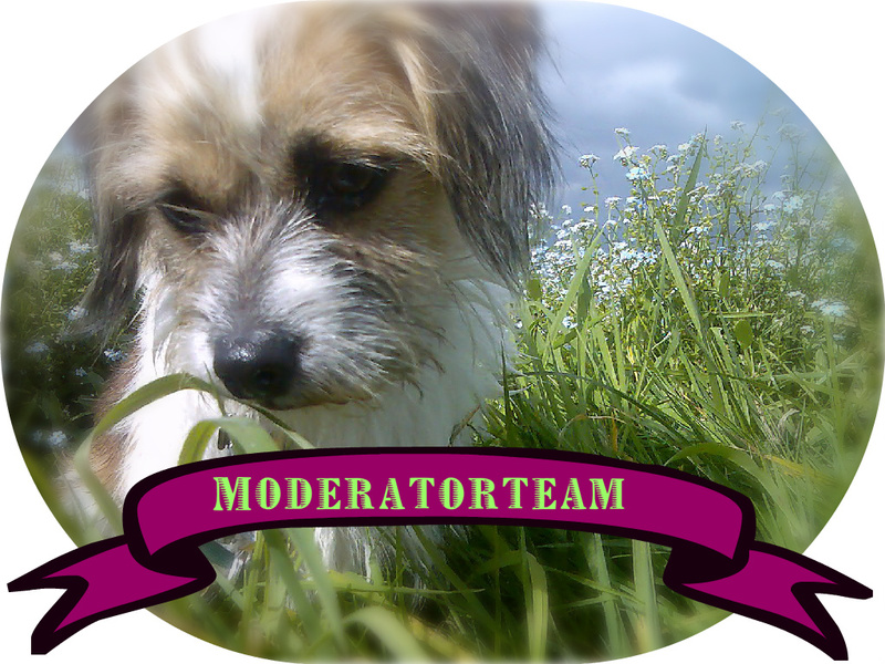 moderatorteam