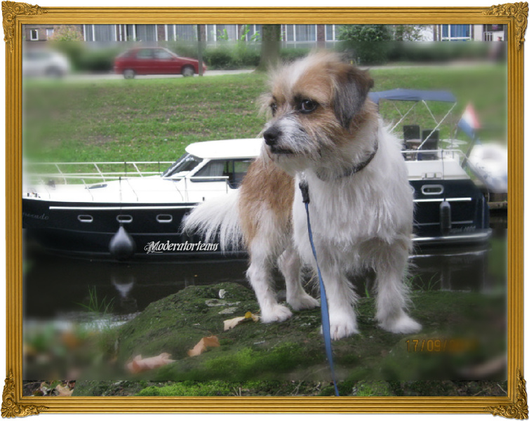 moderatorteam on the river