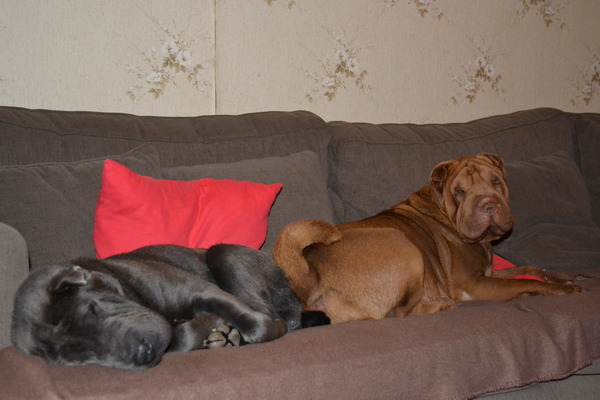 The Wrinkled Journey