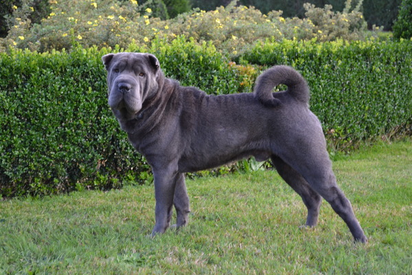 The Wrinkled Journey