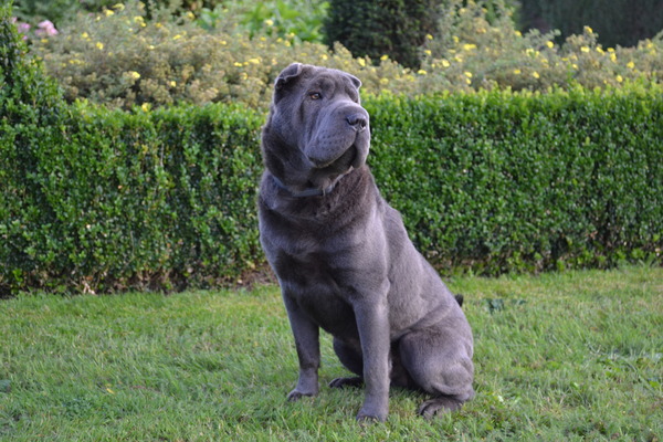 The Wrinkled Journey