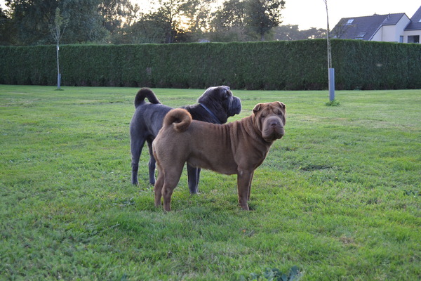 The Wrinkled Journey