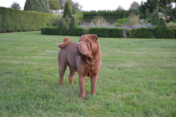 The Wrinkled Journey