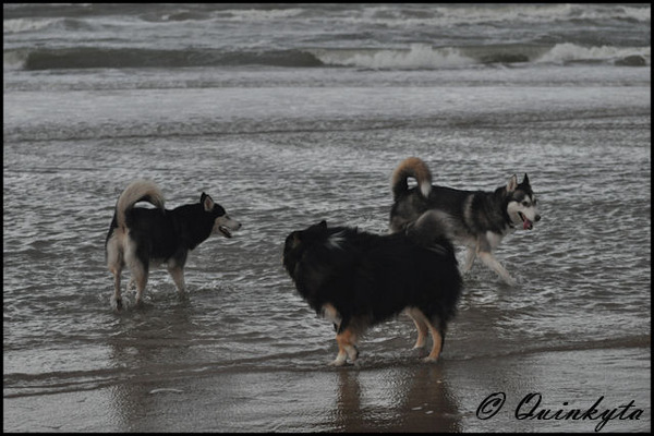 Wijk aan zee, Reyndersweg (NH)