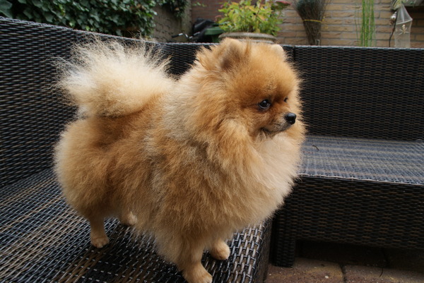 From There Own Home.