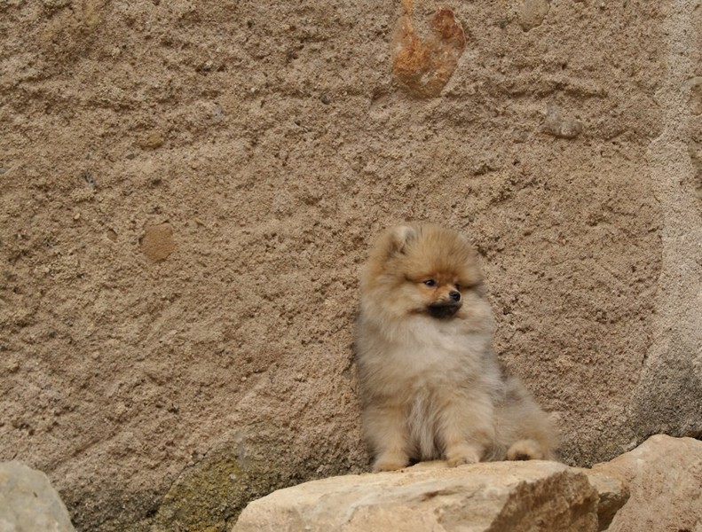 From There Own Home.