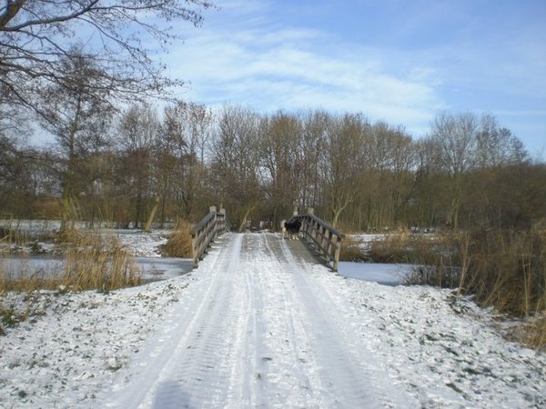 Wandelgebied 't Twiske, Den Ilp (NH)