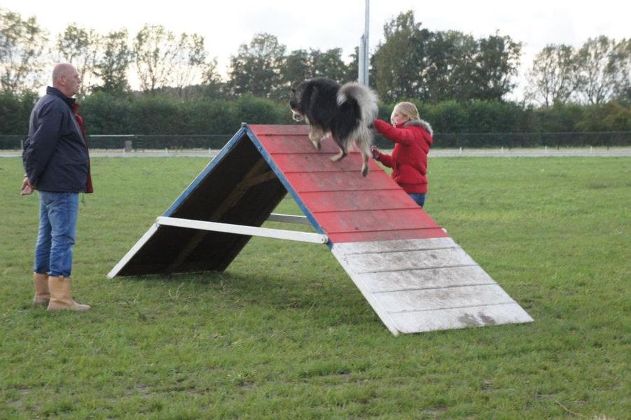 3e behendigheidsles Taiko