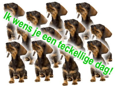 Teckel