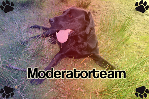Moderatorteamfoto