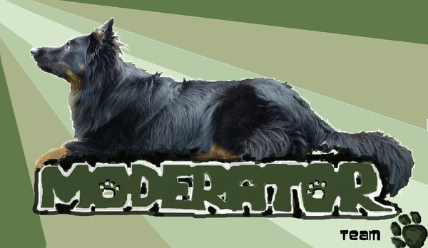 Rashja Moderatorteam 1