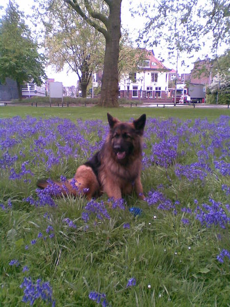 kira in het wilhelminapark te utrecht