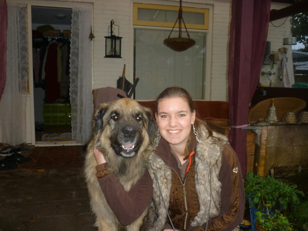 Leonberger