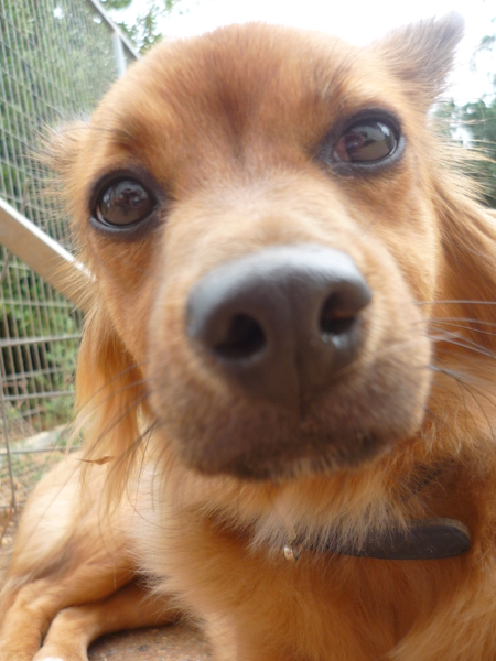 Huh....Was dat nou???