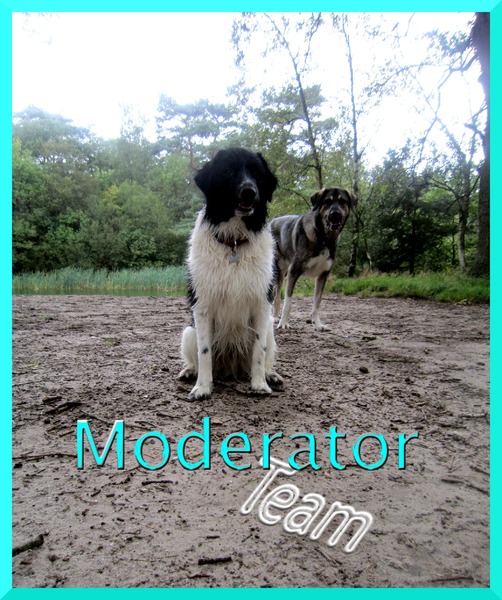 Nog een profielfoto voor de Moderators