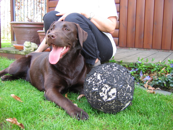Imca heerlijk in de eerste zon ligend.