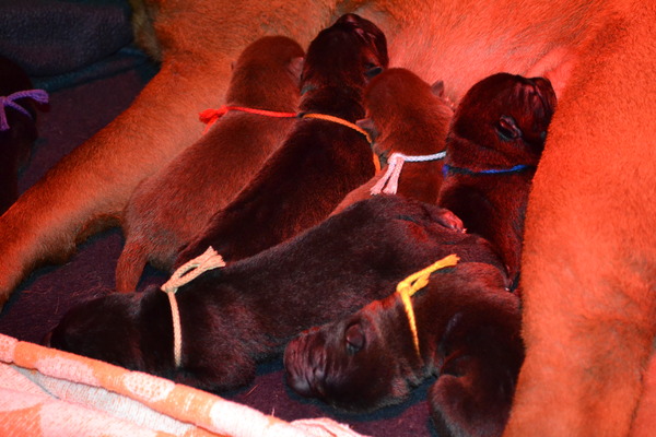 The Wrinkled Journey