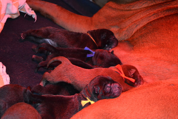 The Wrinkled Journey